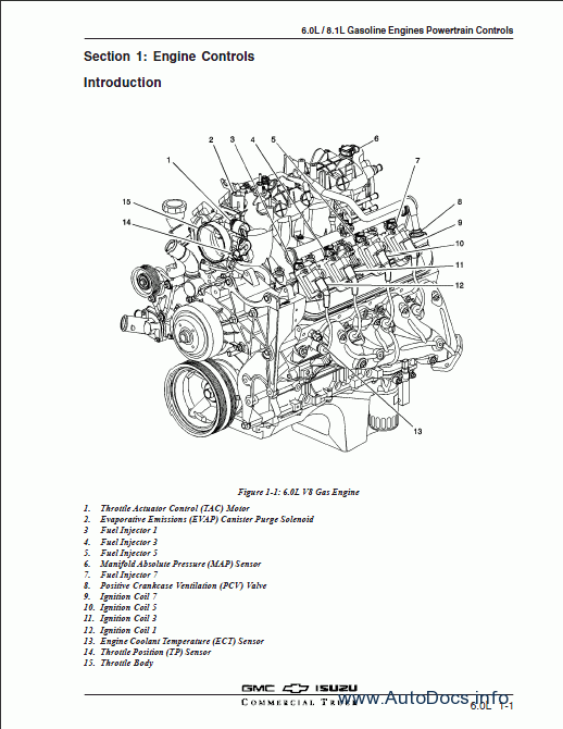 Isuzu 6.0L/8.1L Gas Engine Powertrain Controls repair manual Order